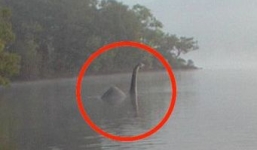 Xuất hiện quái vật khổng lồ giống khủng long ở hồ nước hoang dã