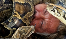 Rùng mình người đàn ông để ba con trăn khổng lồ quấn người