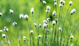 Tử vi ngày 12/9/2014 theo cung hoàng đạo