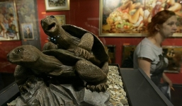 Đỏ mặt tham những bảo tàng 'sung sướng' kỳ lạ trên thế giới