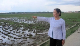 Chuyện khó tin: Thiếu nữ lấy đòn gánh đánh hổ cứu bạn ở Quảng Bình