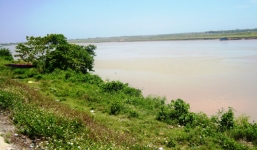 Thi thể nam giới chết bất thường bên bờ sông Lam