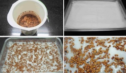 Hướng dẫn trồng rau mầm không cần đất đơn giản