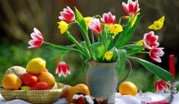 Tử vi thứ 2 (15/9/2014) theo cung hoàng đạo