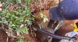 Kinh hãi dùng tay không bắt rắn hổ chúa gần 2 mét trong hang