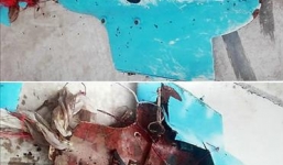 Ngư dân HQ phát hiện mảnh vỡ nghi là máy bay do thám của Triều Tiên