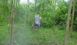 Hoảng hồn phát hiện thi thể người chết trong tư thế treo cổ ở bãi tha ma