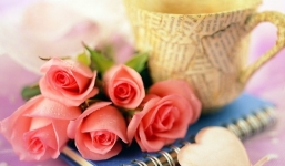 Tử vi ngày 16/9/2014 theo cung hoàng đạo