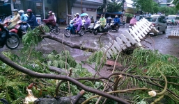 Cây đổ ngổn ngang sau bão ở Hà Nội gây cản trở giao thông