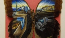 Chàng trai tạo nên những tác phẩm tuyệt đẹp trên bướm