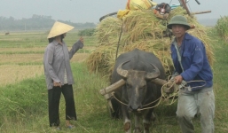 Cuộc sống cơ cực của bố mẹ Công Phượng U19 Việt Nam