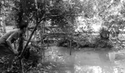 “Ông bố” 16 tuổi ném con 17 tháng tuổi xuống ao