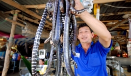 Chùm ảnh cực độc về chợ chuyên rắn, rùa chỉ có trong mùa lũ