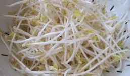 Những đối tượng tuyệt đối kiêng ăn giá đỗ