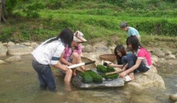 Bí ẩn về thung lũng trường sinh ở Việt Nam và món ăn từ loài kỳ thảo