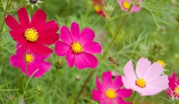 Tử vi ngày 18/9/2014 theo cung hoàng đạo