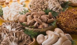 Cách chọn mua và chế biến nấm tránh bị ngộ độc