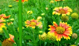 Tử vi ngày 19/9/2014 theo cung hoàng đạo