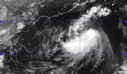 Xuất hiện bão Fung wong giật cấp 12 gần biển Đông