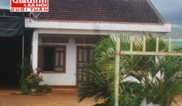 Thực hư vụ thiếu nữ suýt bị bắt cóc lấy thận ở Gia Lai 