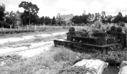 Giải mã lời đồn long mạch dòng họ của Dương Văn Minh