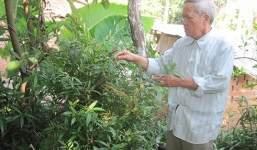 Thầy rắn 24 năm cứu người từ cõi chết