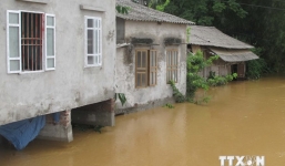 Phú Thọ: Hàng trăm tấn cá đặc sản bị chết do mưa lũ