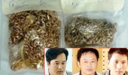 Tuồn 1.000 lượng vàng giả vào ngân hàng, lấy tiền thật