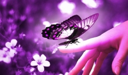 Đàn ông ngoại tình là do đàn bà… ngộ nhận?