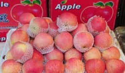 Bất lực với 'lê 5 tháng, táo 9 tháng không hỏng'