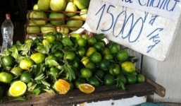 Cam Trung Quốc giá 'bèo' gắn mác Hà Giang ngập đường HN 