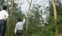 Bản tin 113 – chiều 25/9: Hai mẹ con chết trong tư thế treo cổ giữa rừng…