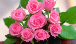 Tử vi ngày 25/9/2014 theo cung hoàng đạo