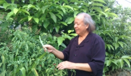 Tình trường của cụ ông 80 tuổi sinh con