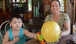 Lê, táo 9 tháng không hỏng: Bộ Nông nghiệp yêu cầu làm rõ