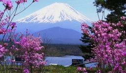 Tử vi ngày 26/9/2014 theo cung hoàng đạo