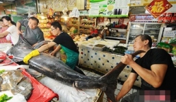 Cá kiếm khổng lồ dài 3 mét, nặng hơn 2 tấn sa lưới ngư dân