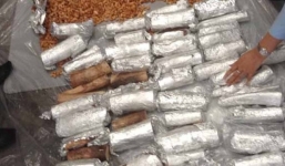 59 chiếc ngà voi trị giá 2,4 tỉ đồng ngụy trang trong thùng hạt điều