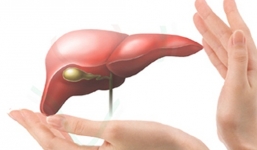 Những thói quen cực hại cho gan bạn nên biết