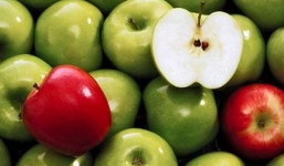 Vụ táo để 9 tháng không hỏng: 2 kết luận trái ngược trong vòng 4 ngày