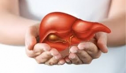 Cách giải độc gan hiệu quả