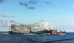 Bộ Ngoại giao phản hồi về việc khởi kiện vụ tàu TQ đâm chìm tàu cá VN