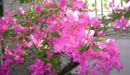 Tử vi ngày 3/10/2014 theo cung hoàng đạo