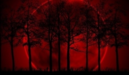 Xuất hiện 'Mặt Trăng máu' vào ngày 8/10 tại Việt Nam