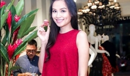 Hoa hậu Diễm Hương bầu 5 tháng bị cướp giật điện thoại 