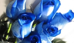 Tử vi ngày 4/10/2014 theo cung hoàng đạo