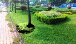 Tin mới nhất về vụ thi thể bị vứt bên đường