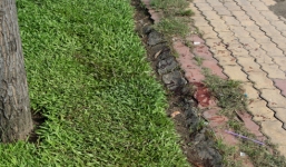 Công an truy tìm danh tính thi thể trong bao tải vứt trên QL1A