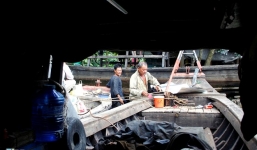 Cuộc sống trong khu rừng cỏ lau giữa Sài Gòn