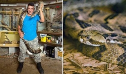 Nhiều lần suýt chết vì sống với 60 con rắn cực độc